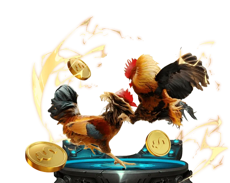 Cá cược bóng đá tại Bong88